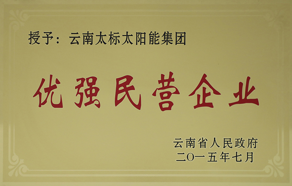 云南省2015优强民营企业