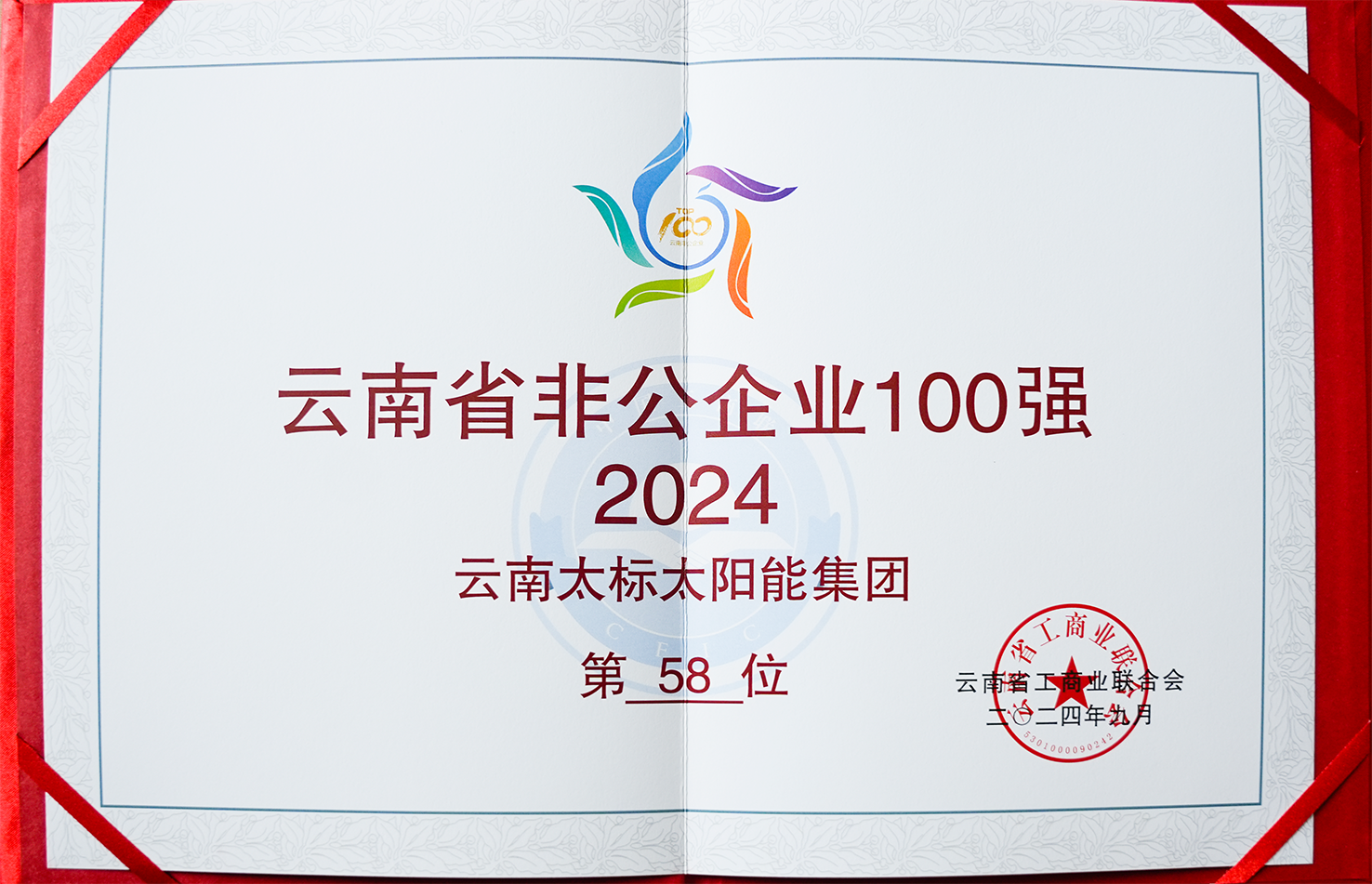 2024非公企业100强