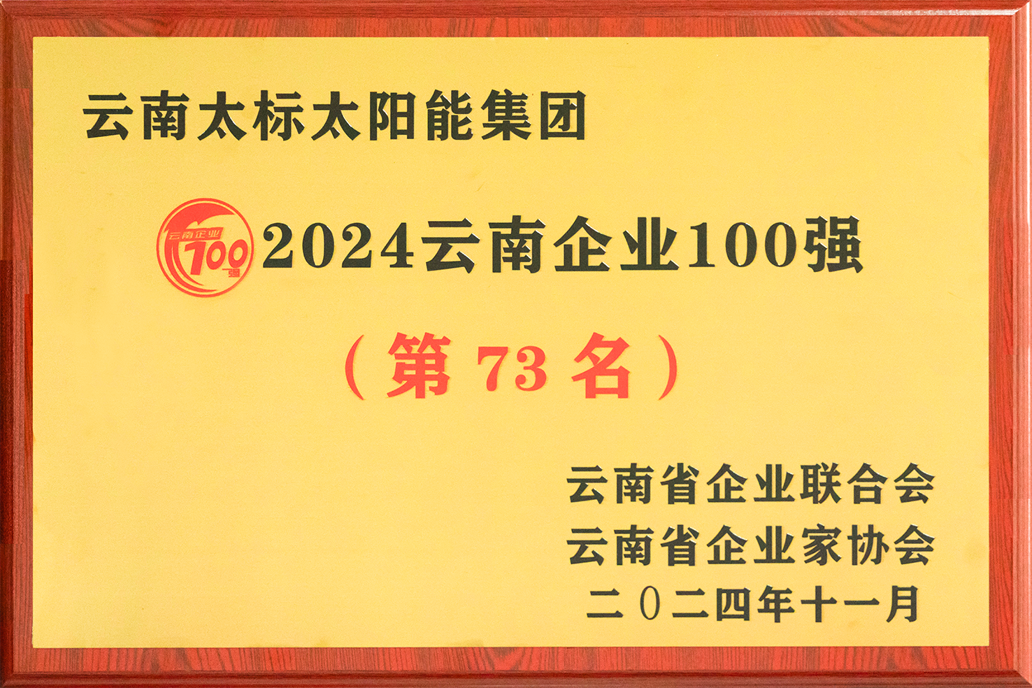 2024云南企业100强奖牌